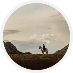 Editor and Analyst Corps